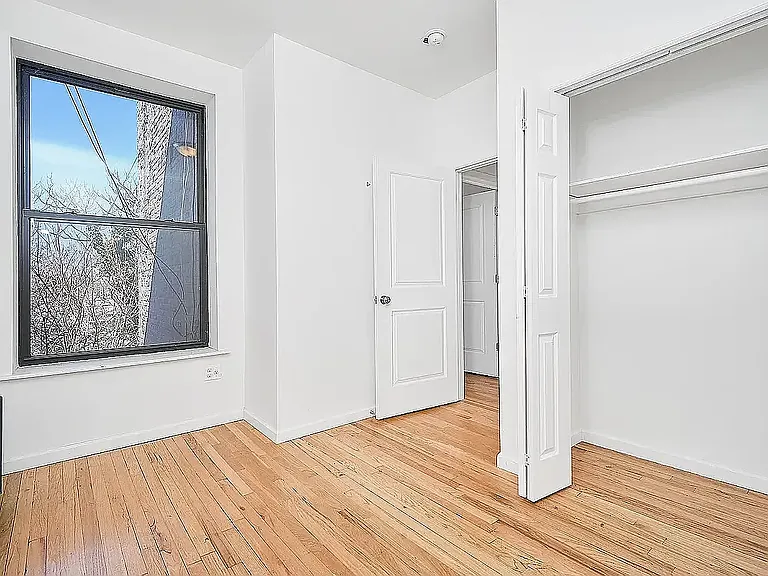 623 Halsey St #3 — Photo 5