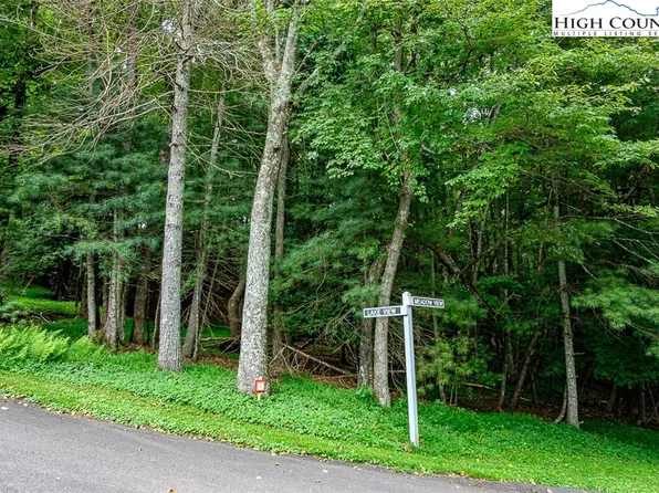 TBD Meadow View/Lakeview Drive, Roaring Gap, NC 28668