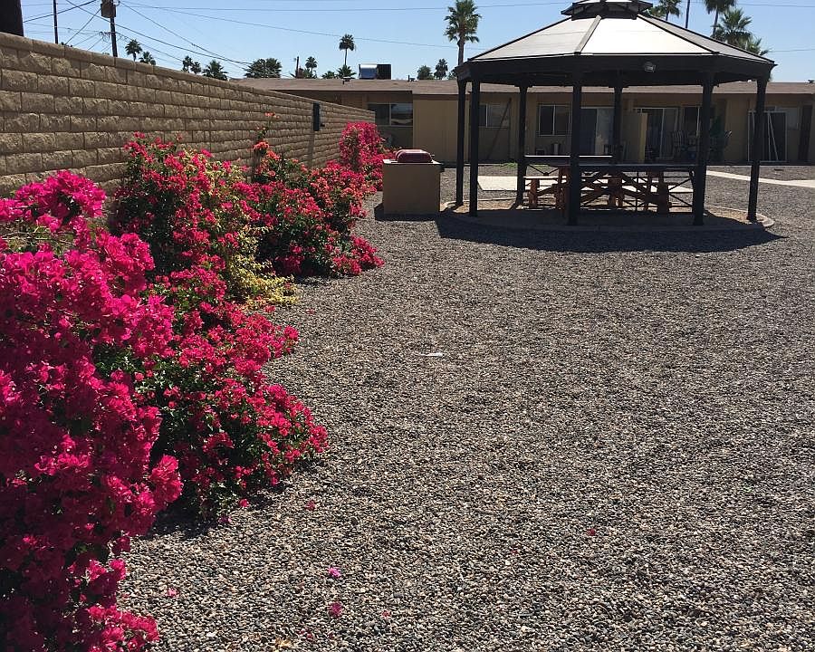 Back yard park