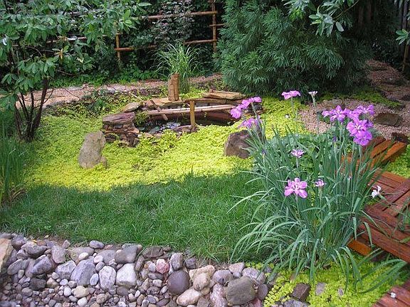 Japanese garden