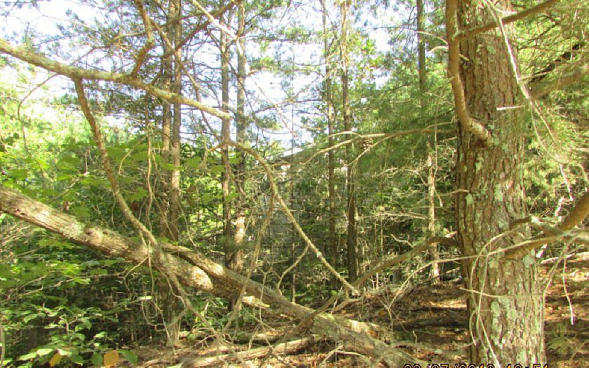 2nd image of 564 Orchard Loop Rd
