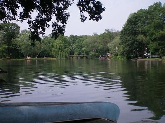 5th image of 116 Lake Dr W