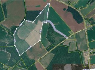 Union School Rd, Coward, SC 29530