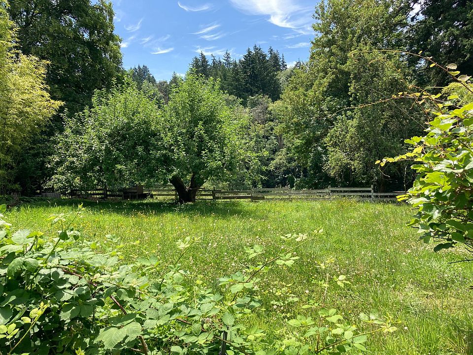 Upper field