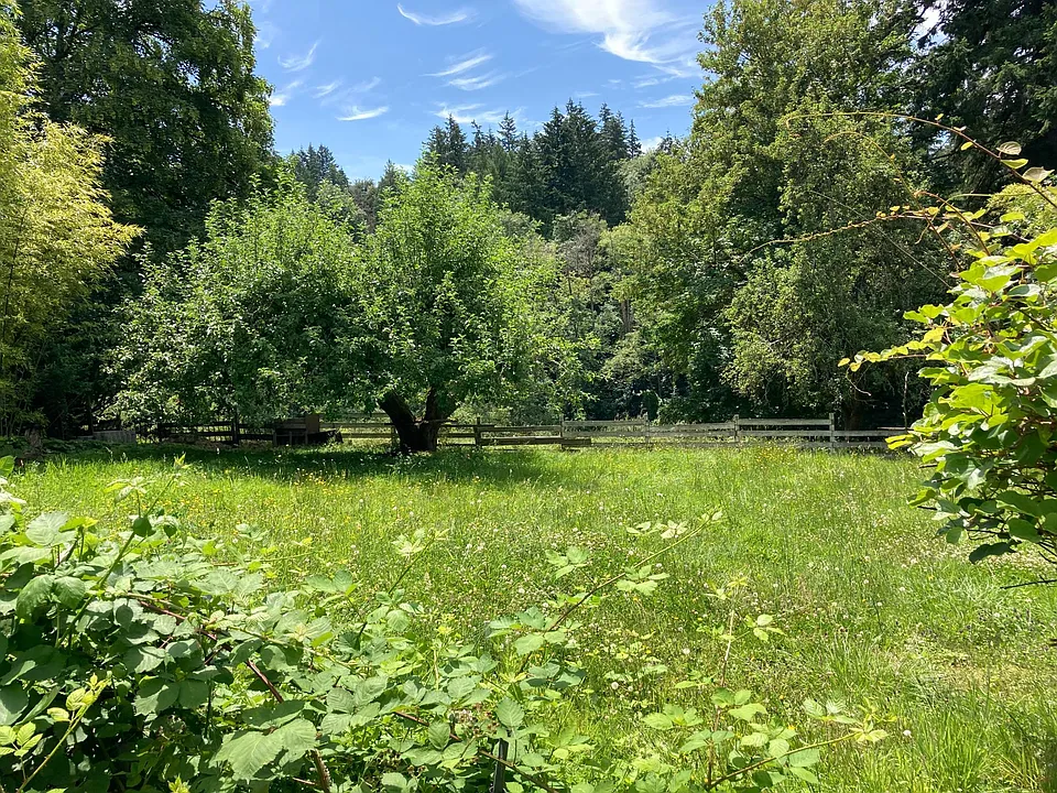 Upper field