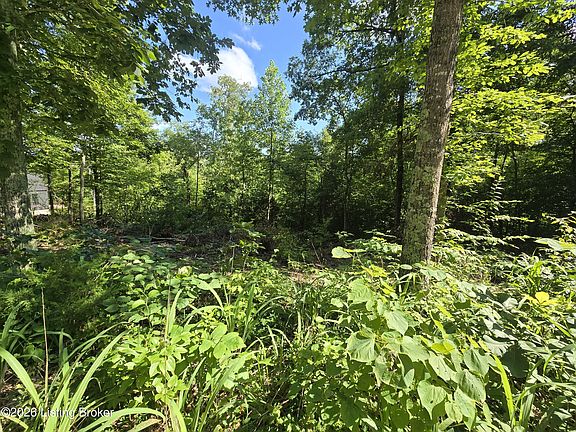 3rd image of 1007 Hunting Ground Rd