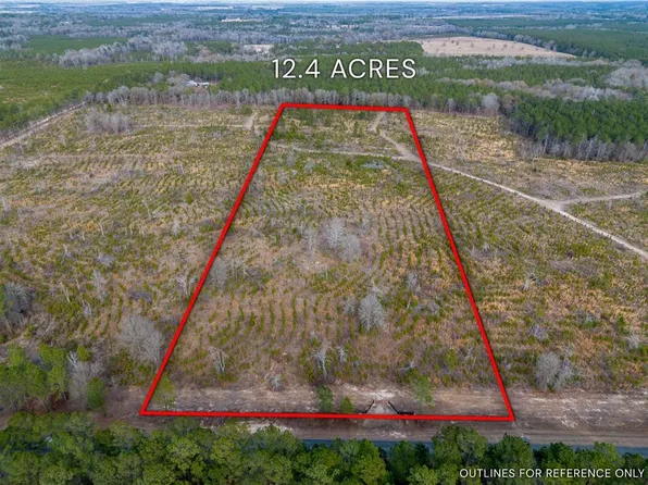 TRACT Three Well Line, Hawkinsville, GA 31036