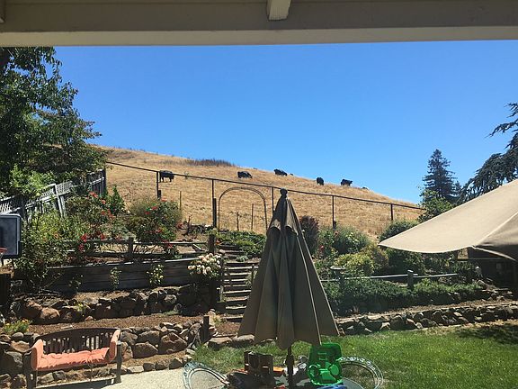 Backyard backs to open space