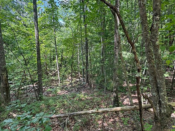 2nd image of Township Road 3 Lakeland Dr #4