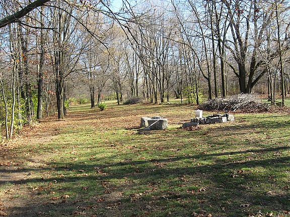 Fire Pit 2010