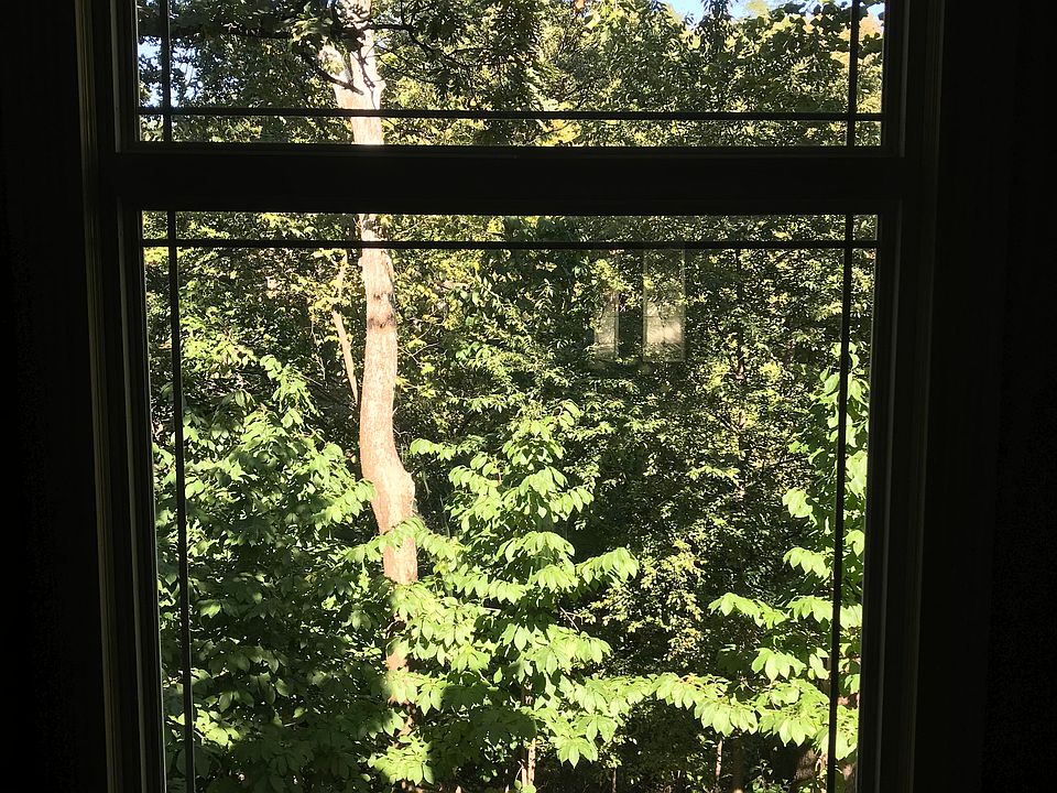 living area view