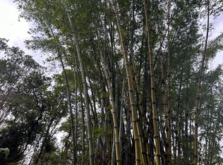 3610 Kaiwiki Rd LOT 59, Hilo, HI 96720