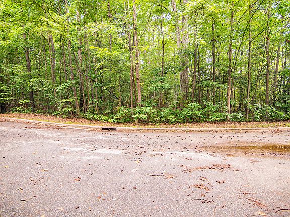 4th image of LOT-14C Downs Brook Dr
