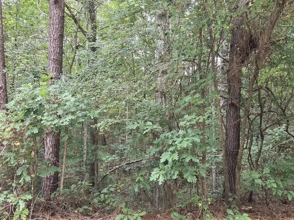 2678 Sleepy Hollow Rd, Monroe, GA 30655