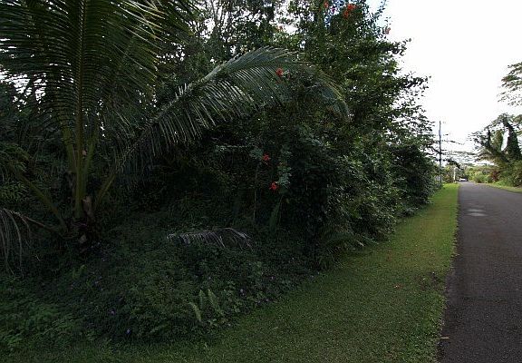 5th image of Ahi St Lot 82