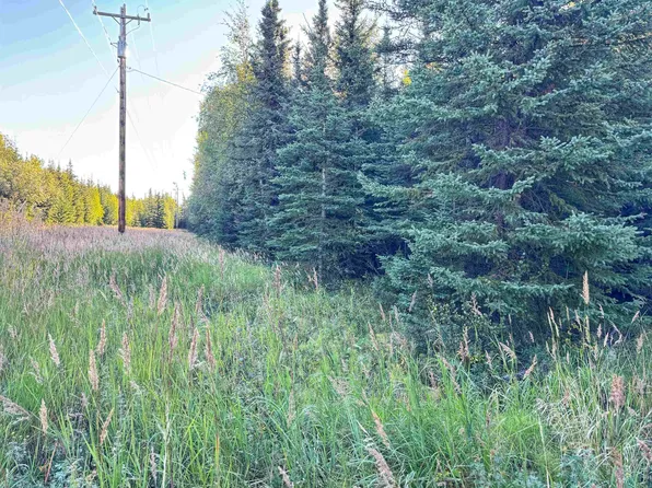 3567 Nistler Rd, Delta Junction, AK 99737