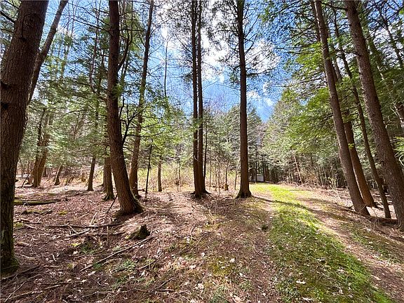 4th image of LOT 6.15 Little Beaver Creek Ln