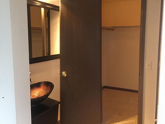 Master - Vanity Area and Walk in closet