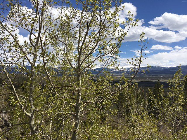 Winter Park Ski Trails