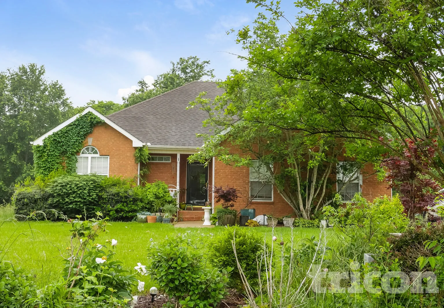 207 Towbridge Drive Murfreesboro TN — Photo 1