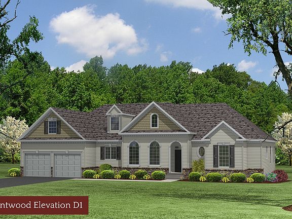 Elevation Elevation D1