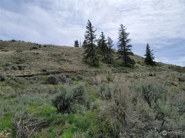 98 Tyee View Loop RD, Orondo, WA 98843