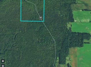 Swamp Rd, Clintonville, WI 54929