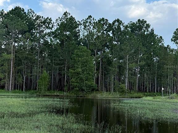 5th image of HOLOPAW GROVES RD #Lot 99 & 100