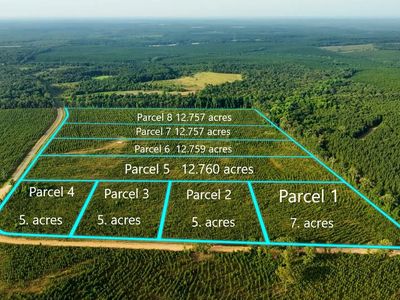 PARCEL 2 Whipporwill Rd, Reynolds, GA, 31076