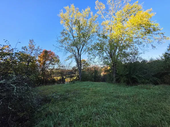 4 Rock Ave, Palmer, TN 37365