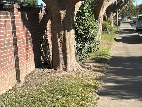 brick & tree lined front