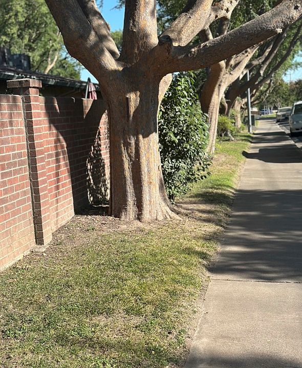 brick & tree lined front