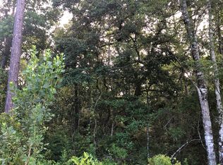 4050 Als Satch Rd, Middleburg, FL 32068