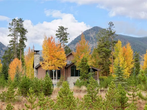 566 Water Dance Dr, Frisco, CO 80443