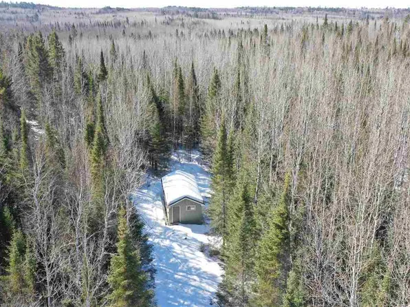 11546 Jacobs Rd, Orr, MN 55771