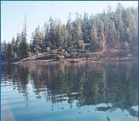 3 miles from Sugar Pine Lake