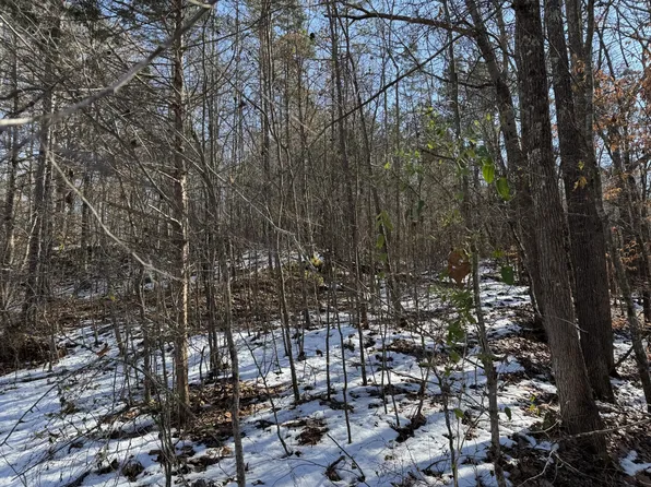 0 Forrest Hill Rd Lot 7, Bolivar, TN 38008