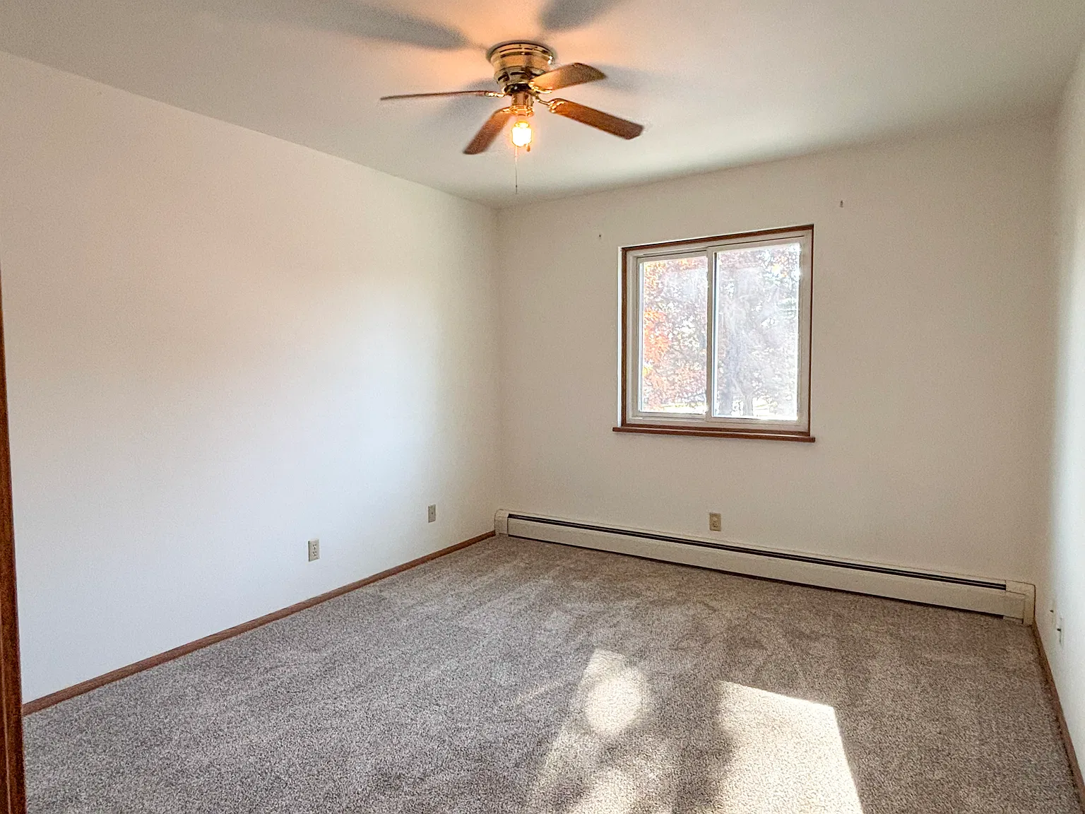 905 Oak Ave — Photo 4