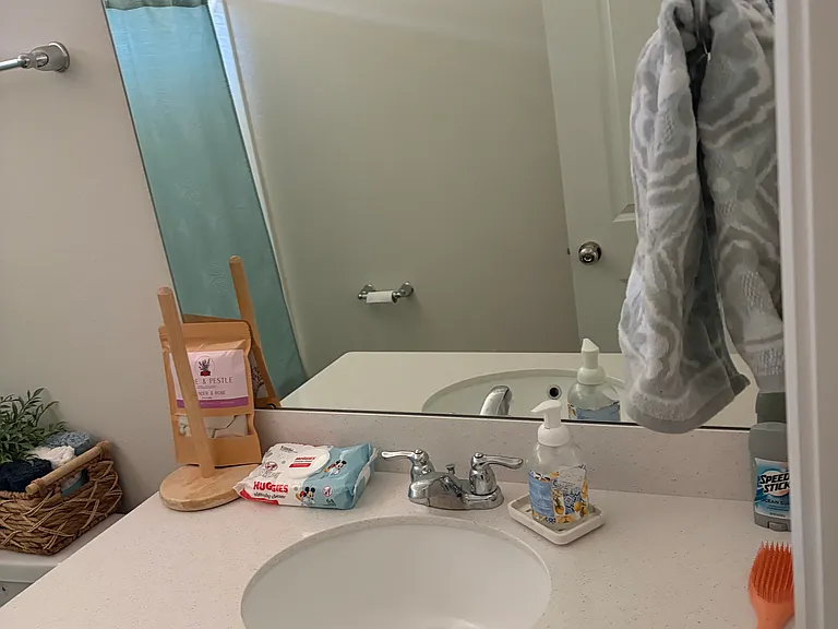 1885 Summer Serenity Dr — Photo 8