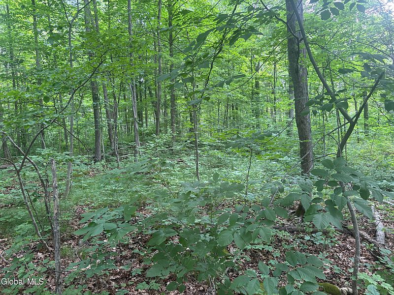 2nd image of L1.022 Delaware