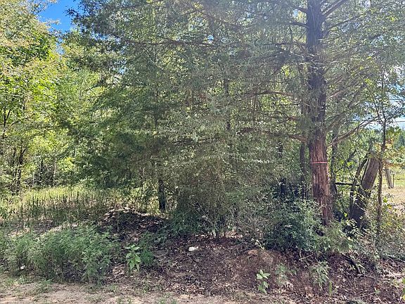3rd image of PARCEL 13270 County Road 4545