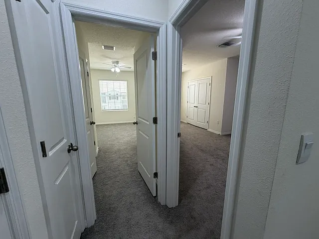 33083 Frosted Clover Way — Photo 28