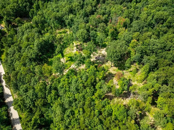 0 State Highway 1620 #Live, Olive Hill, KY 41164
