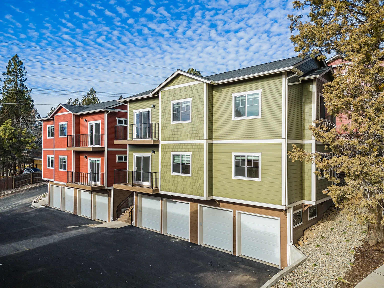 Monterey Pines — Photo 2
