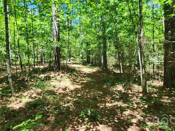 171 Bambi Lane Ml, Tryon, NC 28782