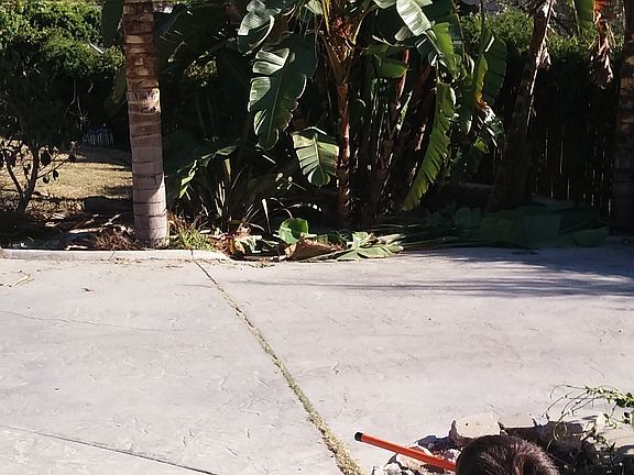 2nd image of 3337 Cazador St