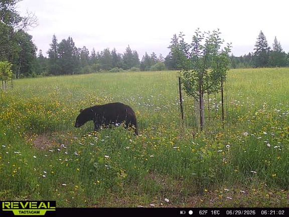 2nd image of Tbd Nylund Rd