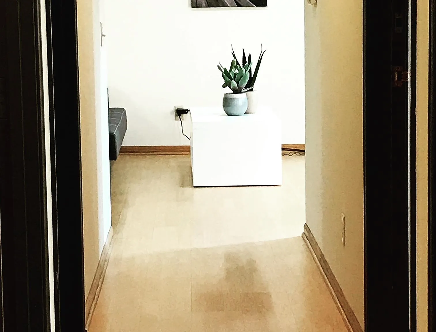 3 bed, 1.5 bath, 1200 sqft, $2,800 — Photo 3