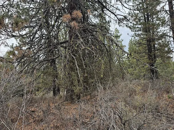 Grizzly Ln Lot Wp001, Bonanza, OR 97623