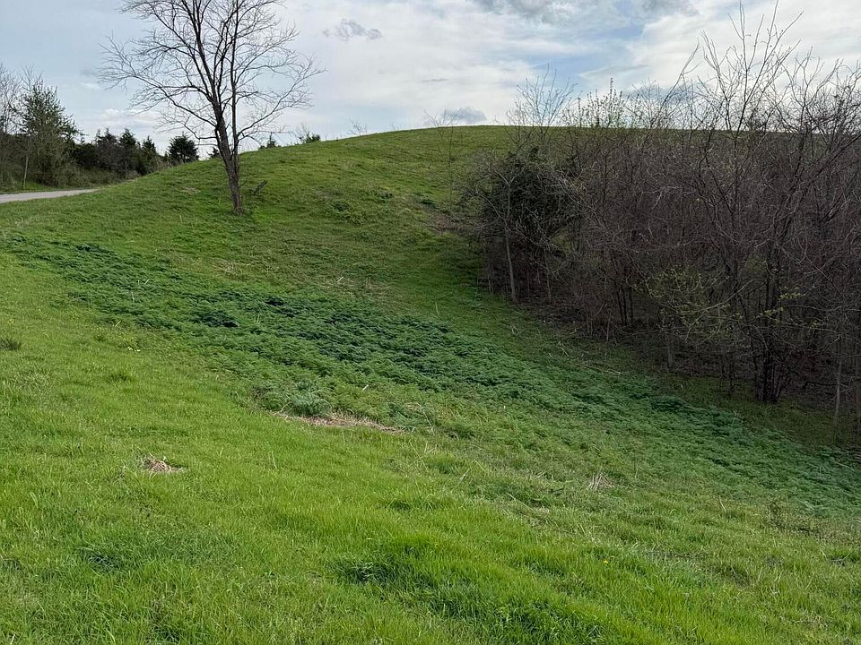 2nd image of 6 S Chowning Ln